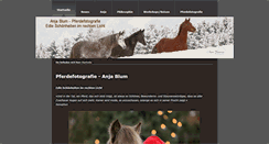 Desktop Screenshot of anja-blum.com